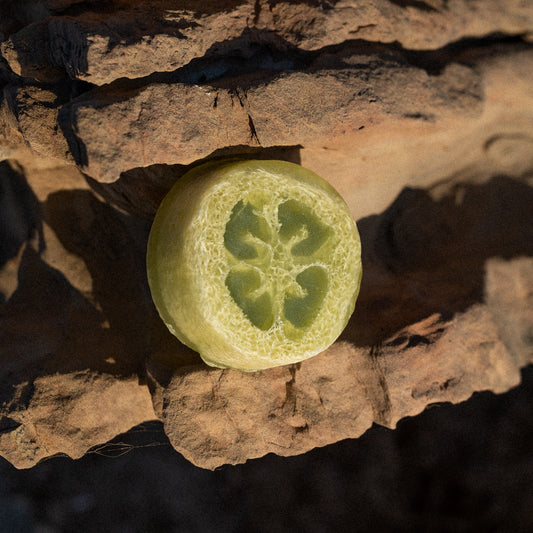 Lemongrass Loofah Soap