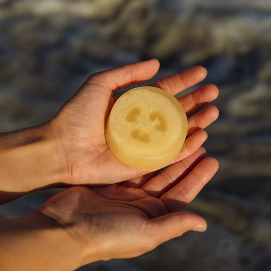 Citrus Splash Loofah Soap